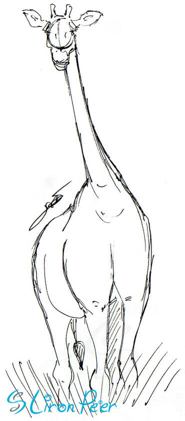 Giraffe Standing Sketch Giraffe Standing Sketch