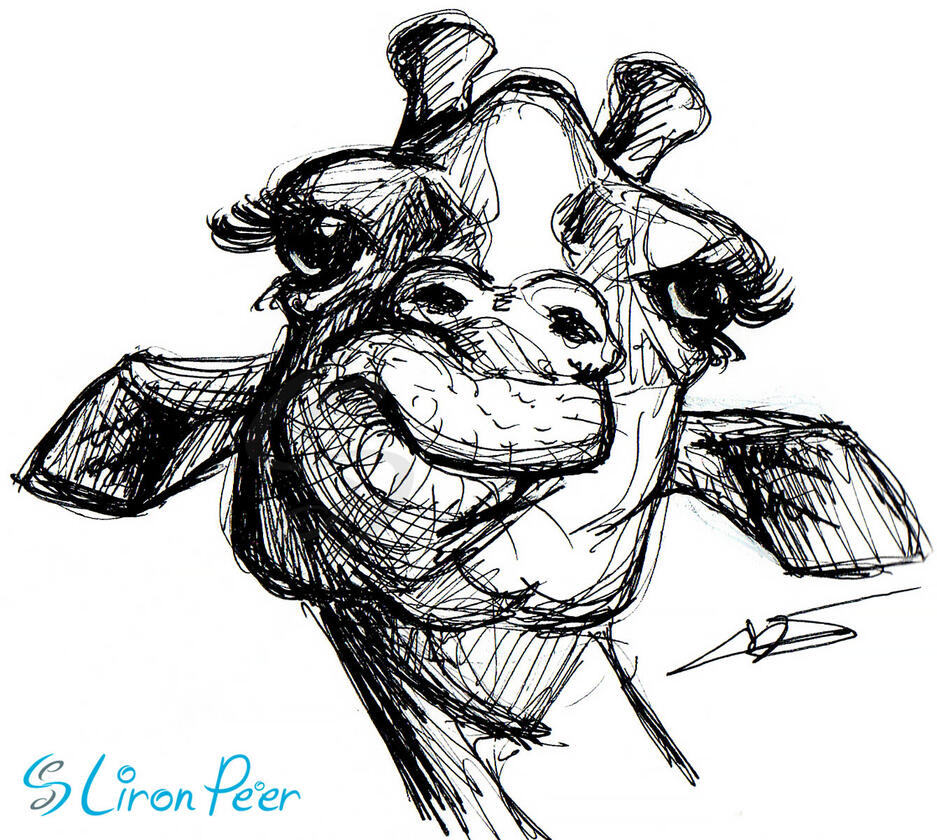 Giraffe Head Sketch Giraffe Head Sketch