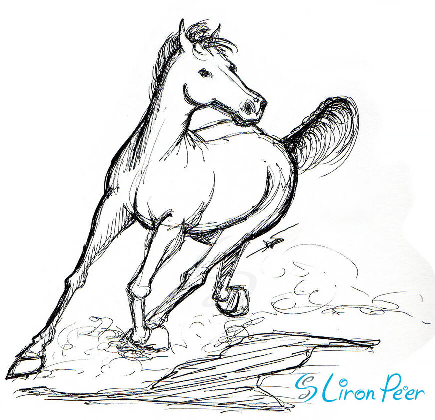 Horse Running Sketch Horse Running Sketch