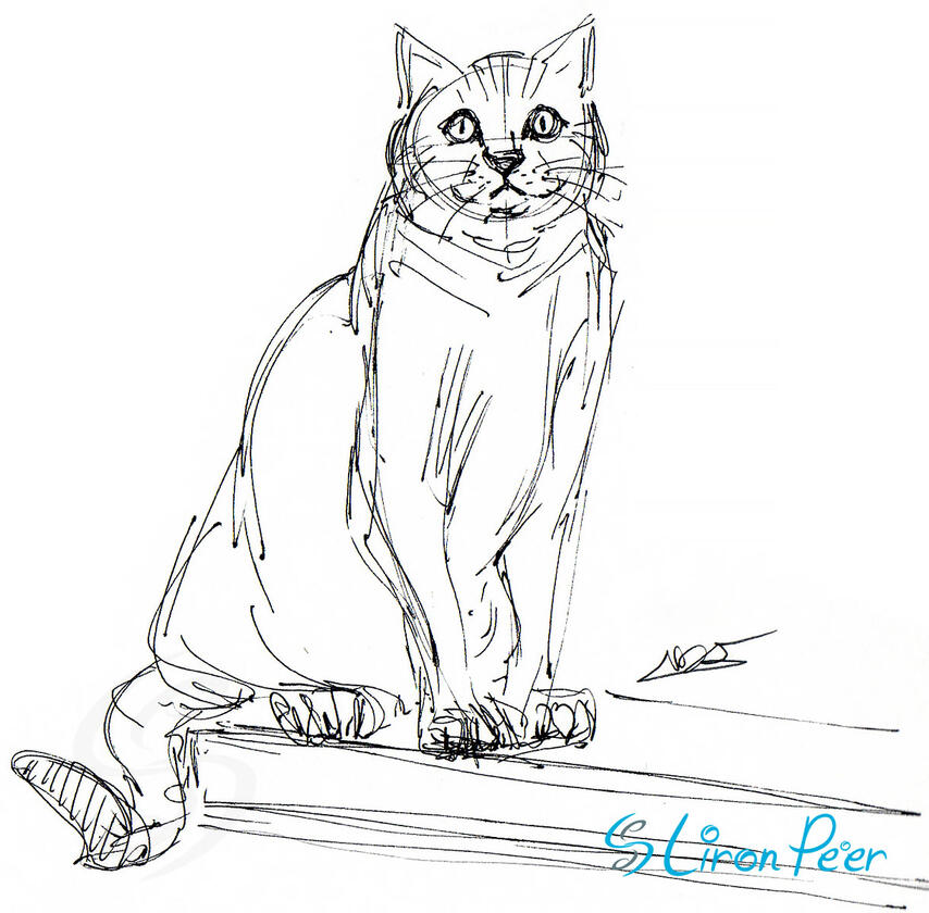 Cat Standing Sketch Cat Standing Sketch