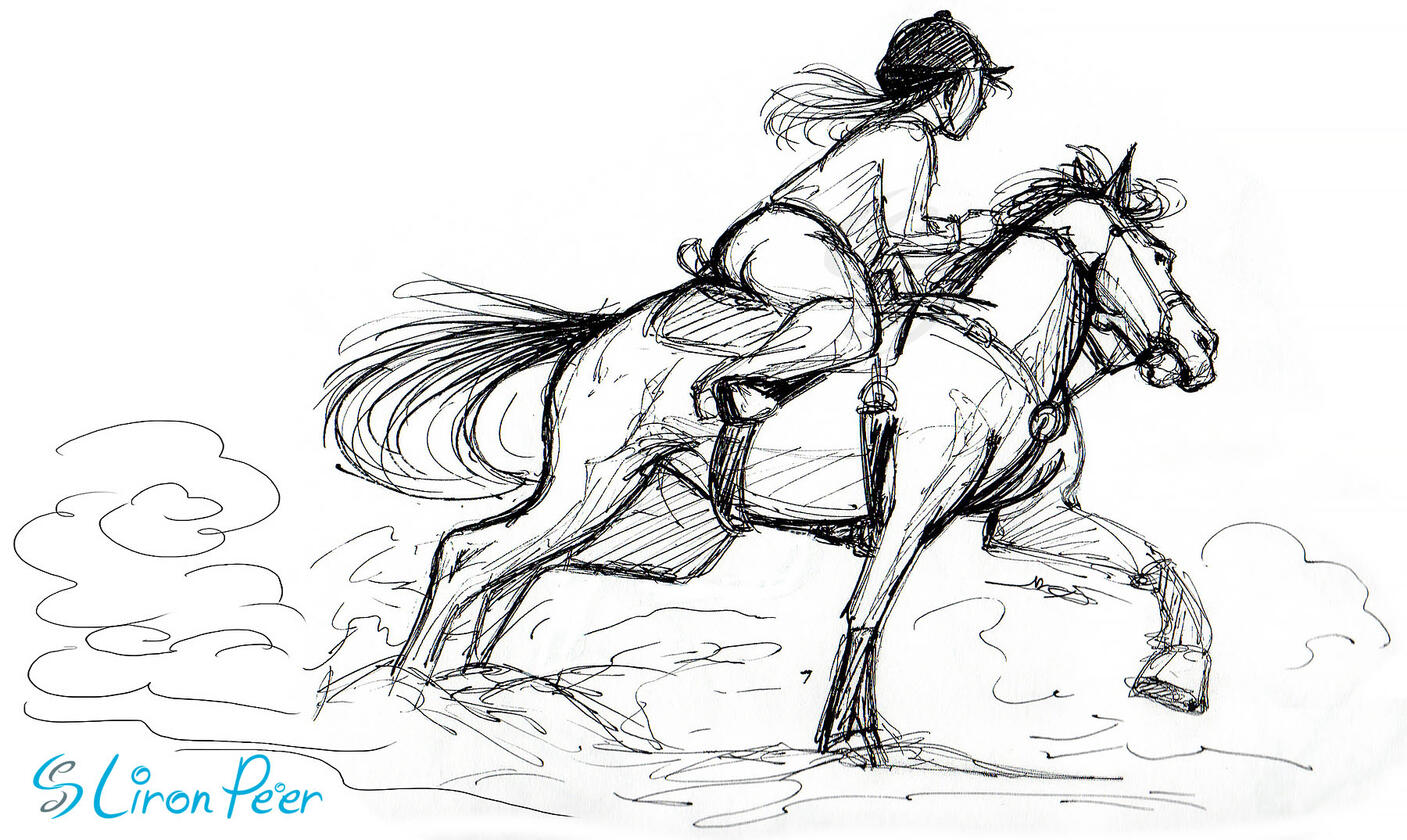Horse and Rider Sketch Horse and Rider Sketch