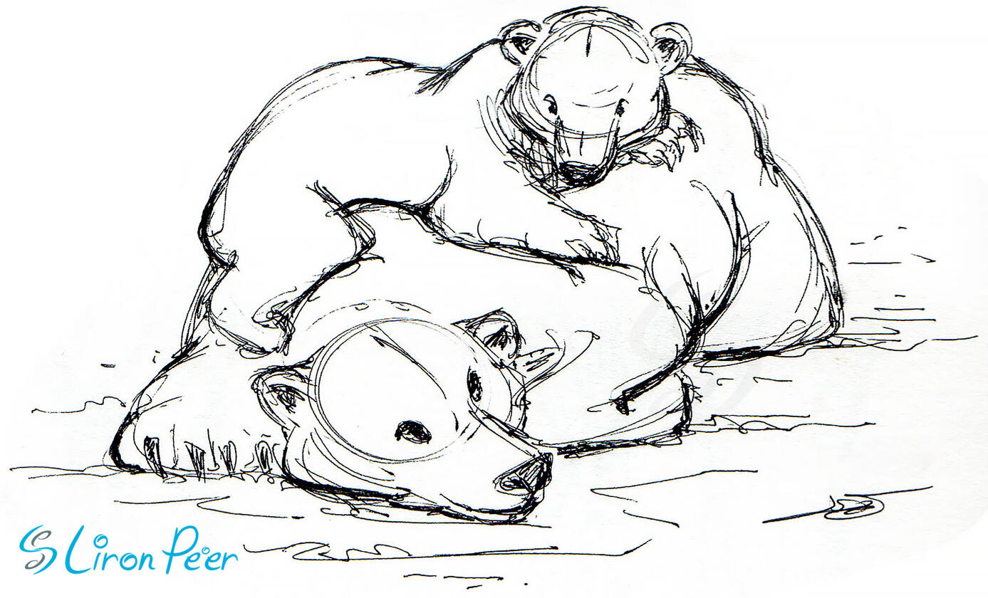 Mother Bear and Cub Sketch Mother Bear and Cub Sketch